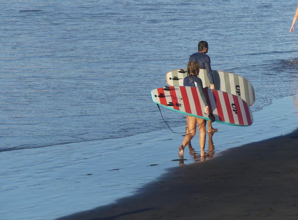 Surfboards lineup